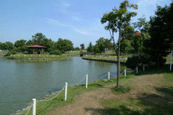 紅葉山公園の画像1