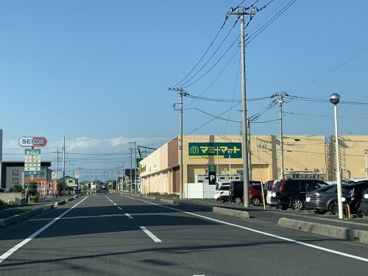 マミーマート 白岡店の画像1