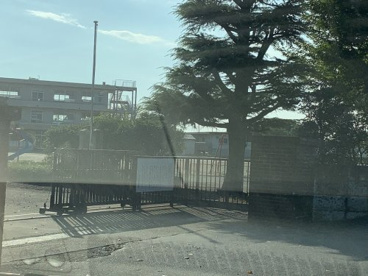 白岡市立 篠津小学校の画像1