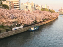 南天満公園