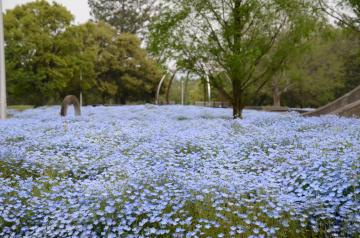 北久宝寺一丁目公園の画像1