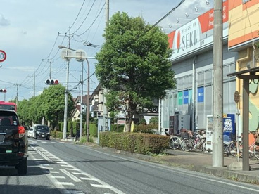 ドラッグストアセキ 松伏店の画像1