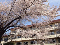 小金井第四小学校