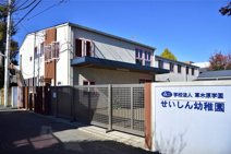 せいしん幼稚園