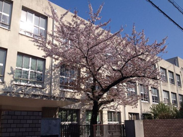 大阪市立豊里小学校の画像1