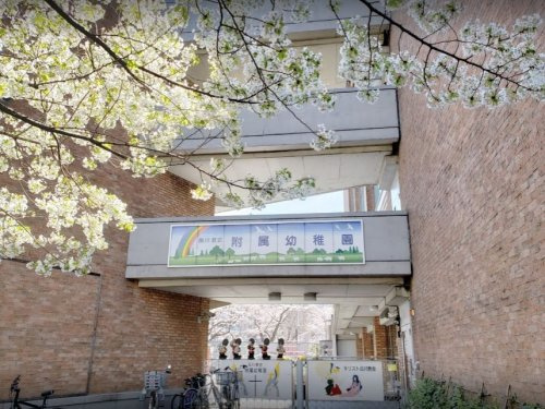 品川教会附属幼稚園情報ページ 東京都内の賃貸物件は株式会社リブラ