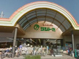 スーパーツジトミ交野店