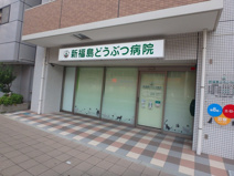 新福島どうぶつ病院