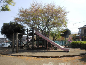 亀井野公園の画像1