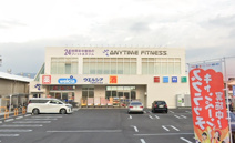 ウエルシア八尾南木の本店