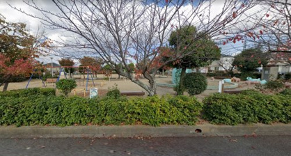 西二見サクラ公園の画像1
