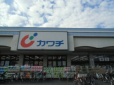 カワチ薬品 新田駅前店