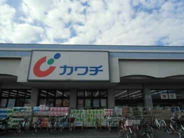 カワチ薬品 新田駅前店の画像1