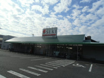 ドラッグスアセキ新善町店