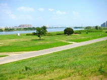 淀川河川公園海老江地区テニスコート