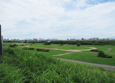 淀川河川公園の画像1
