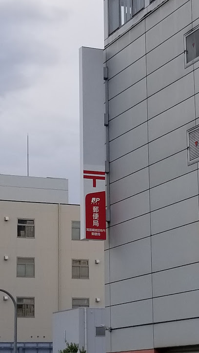 の画像