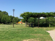 霞ケ丘公園