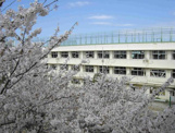 大田区立赤松小学校