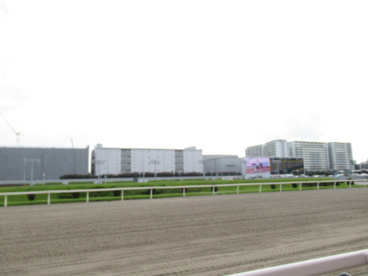川崎競馬場の画像2