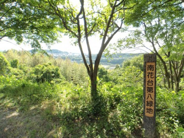 南花台第8緑地の画像1