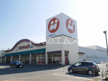 マルキョウ 志免店