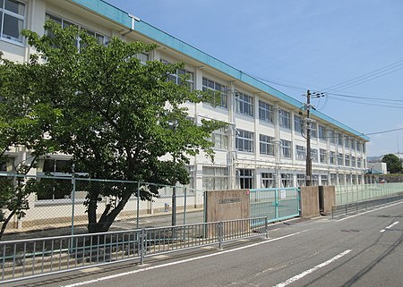 の画像