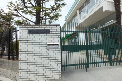 の画像