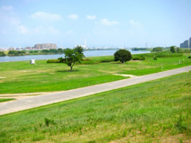 淀川河川公園