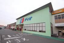 ディオ河内長野店