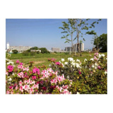 大和川河川公園