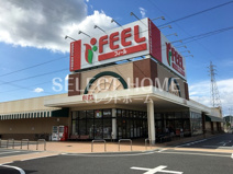 FEEL(フィール) 幸田店