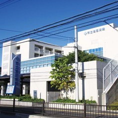 の画像