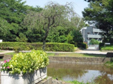一本橋公園