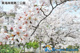 東海岸南第二公園の画像