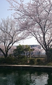 浮間つり堀公園の画像1