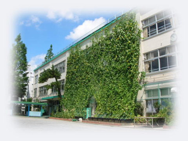 杉並区立桃井第三小学校の画像1