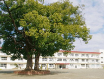 誉田小学校