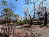 善福寺公園