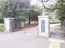 駒場野公園