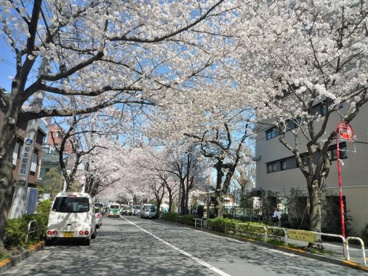 かむろ坂の画像3