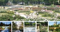 靱公園
