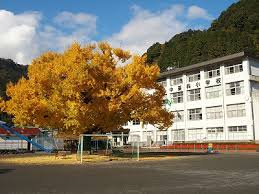 静岡市立中藁科小学校の画像1