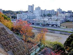 桑ケ谷公園の画像1