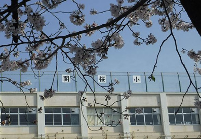 大田区立開桜小学校の画像1