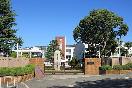 の画像