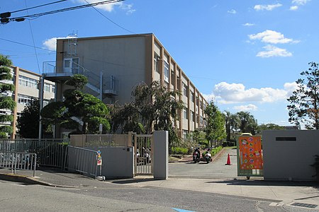 の画像