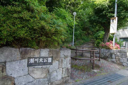 の画像