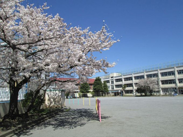 大田区立六郷小学校の画像1