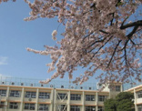 大田区立矢口西小学校